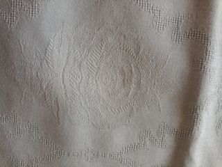 Tovaglia molto grande