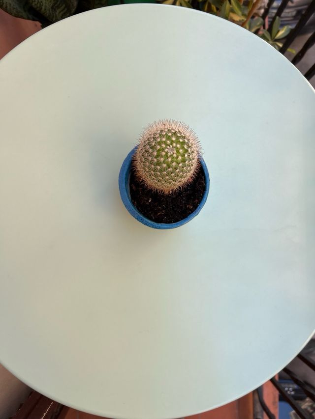 Mesa de Jardín Plegable Maisons du Monde