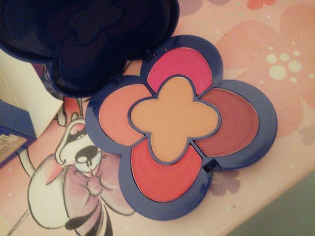 Make - Up . Trousse. Buccia di Mela. Mai Usata 