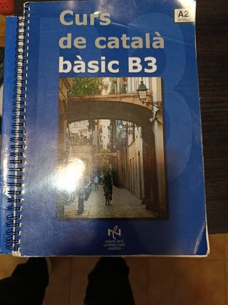 Curs de catala basic b3