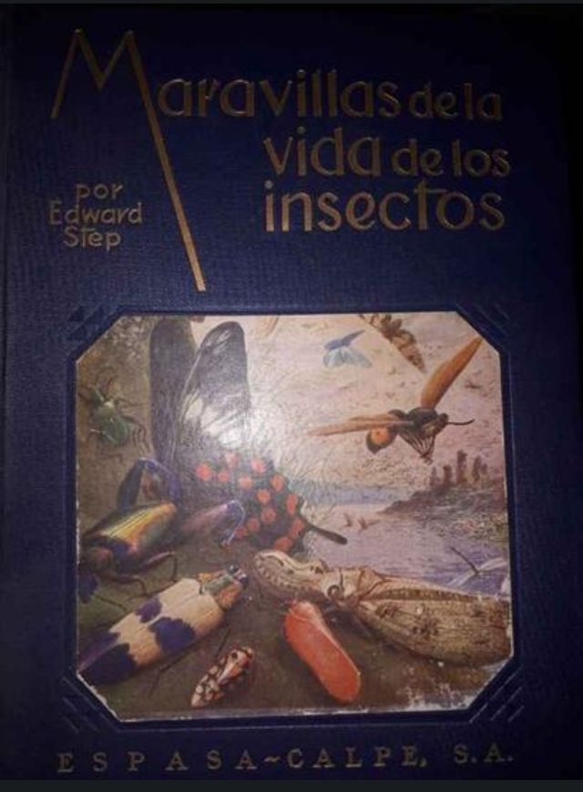 Maravillas de la vida de los insectos 1953