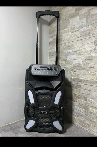 Cassa Acustica Amplificata Trolley Karaoke con Mic