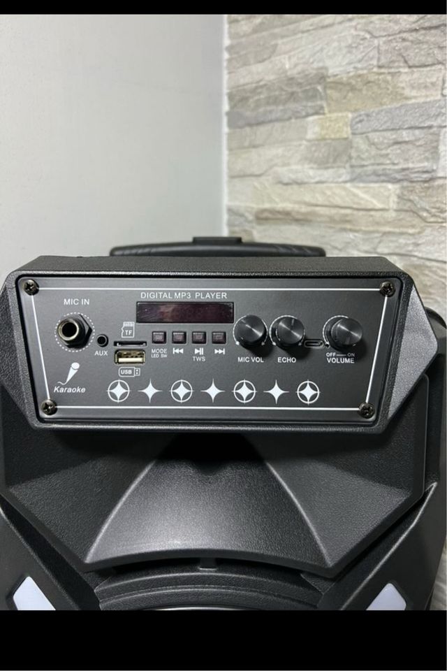 Cassa Acustica Amplificata Trolley Karaoke con Mic