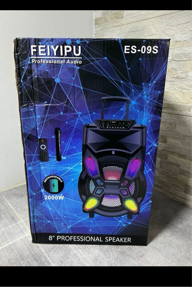 Cassa Acustica Amplificata Trolley Karaoke con Mic