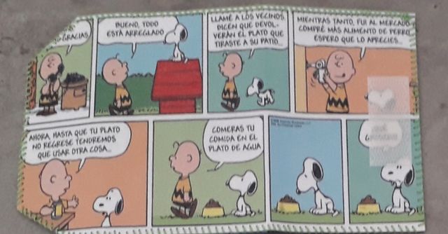 Cartera de Snoopy
