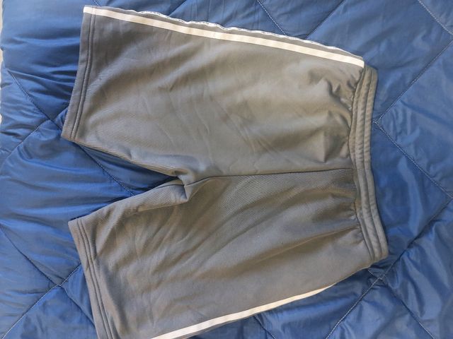 Pantalon adidas gris