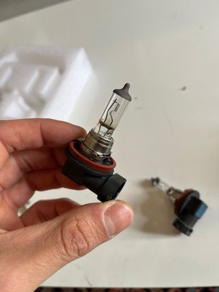 Lampadine Osram h11 12V 55w