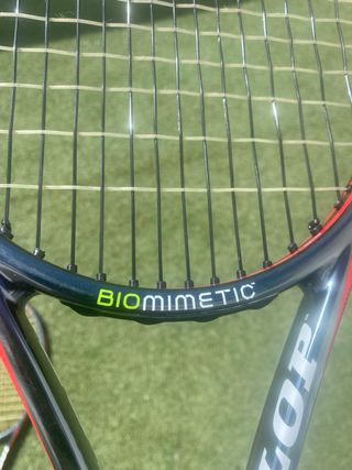 Raquetas dunlop biometric 300 Tour