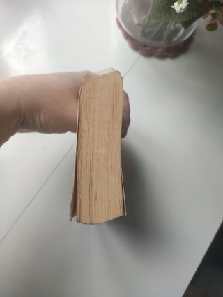 el amor en los tiempos del cólera