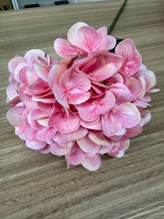 H0RTENSIA ARTIFICIAL