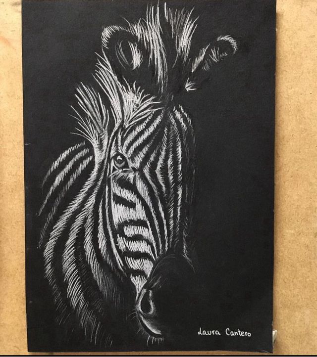 Dibujo cebra blanco y negro