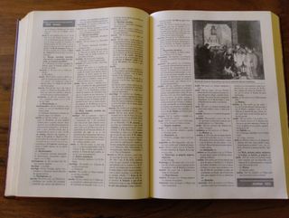 Diccionario ANAYA de la Lengua