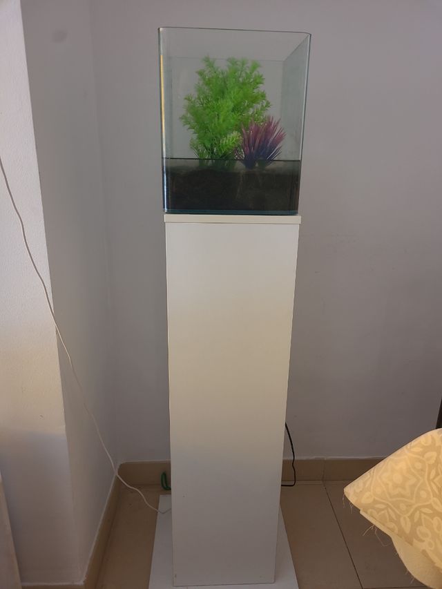 Acuario de 20 litros