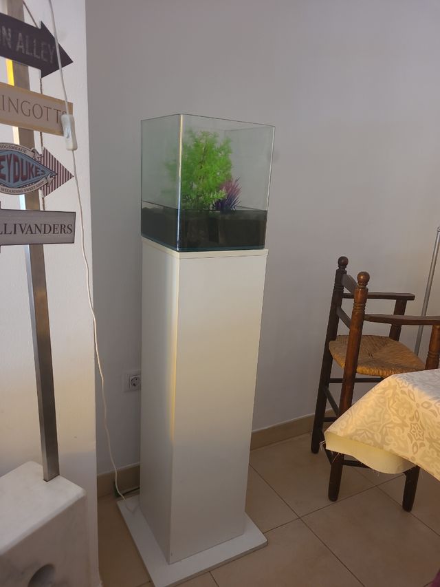 Acuario de 20 litros