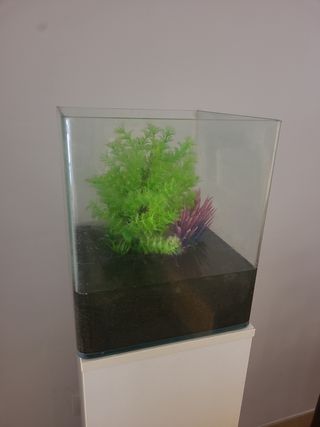 Acuario de 20 litros 