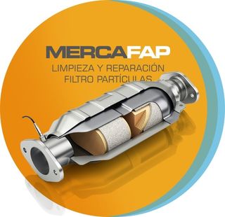 LIMPIEZA FILTRO PARTICULAS portes gratis