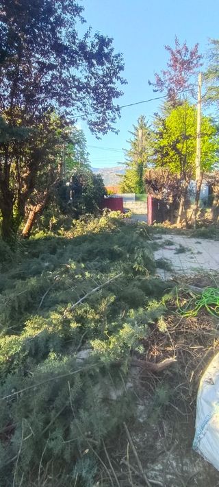 Servicios de jardinería