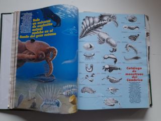 Revista MUY INTERESANTE. Enero a Junio 1993. VOL 7