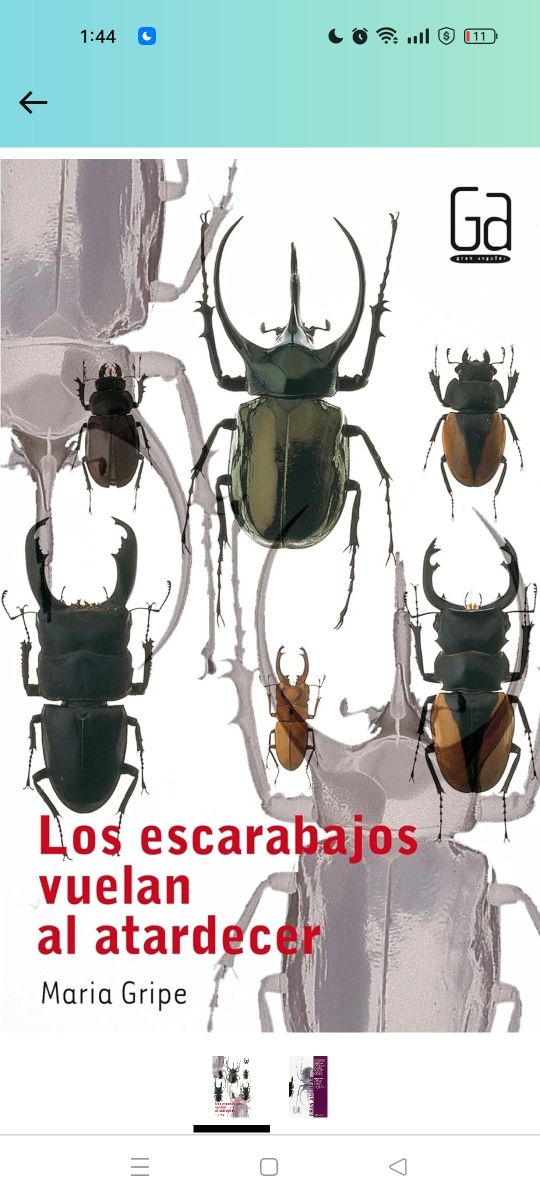 Los escarabajos vuelan al atardecer.