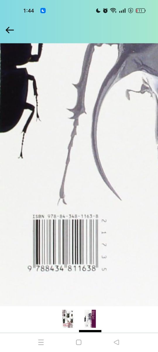 Los escarabajos vuelan al atardecer.