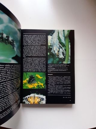 revistas Vida Silvestre año 1985, números 53 a 56