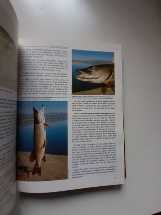 revistas Vida Silvestre año 1985, números 53 a 56