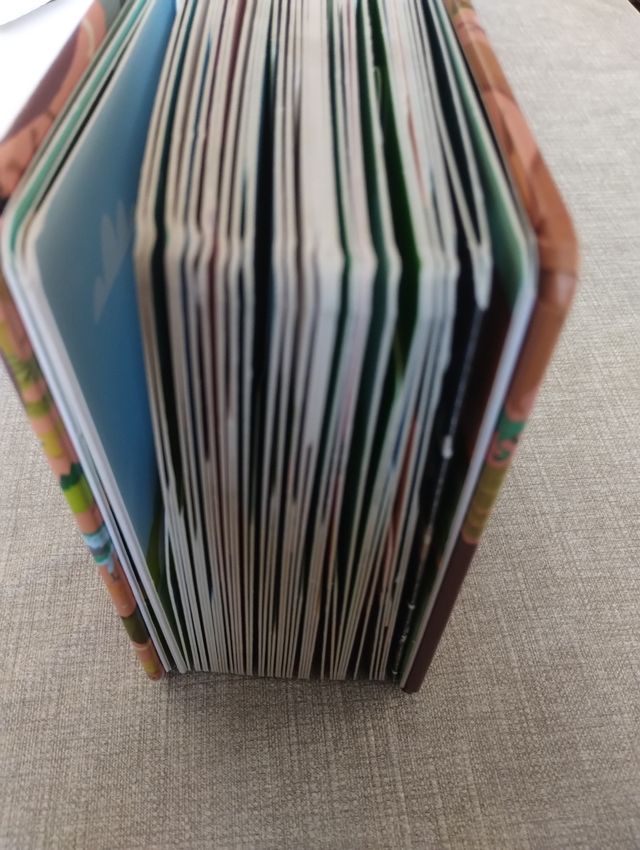 Libro dinosaurios en bloque 