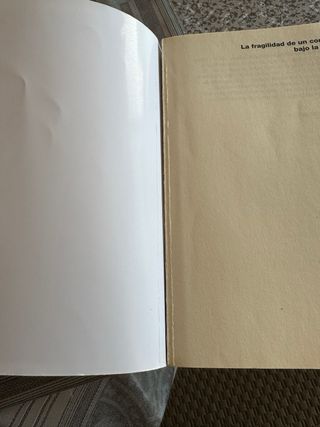 Libro “La Fragilidad de un corazón bajo la Lluvia”