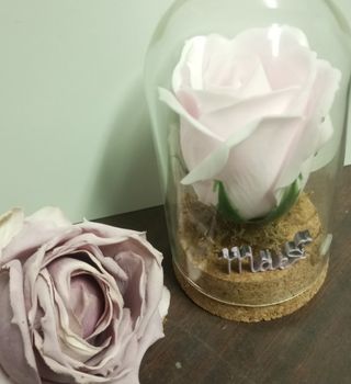 Cúpula com rosa sabonete