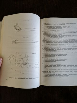 El camino personal a la salud