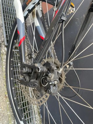 BICI LEE COUGAN