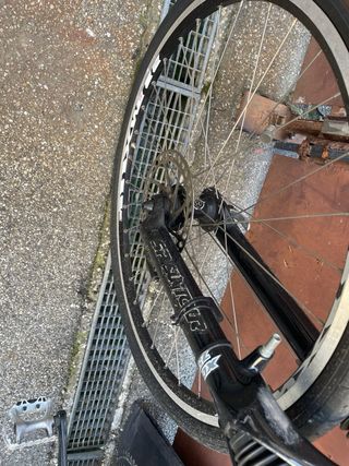 BICI LEE COUGAN
