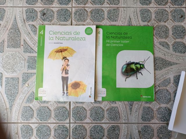 Lote de libros de texto de cuarto de 