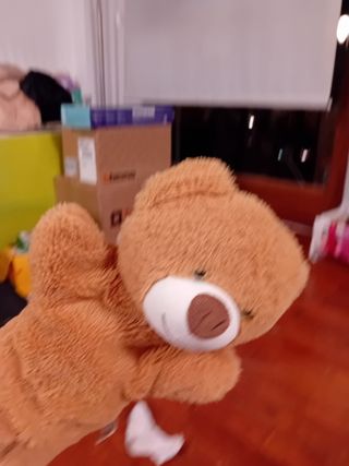 Manopla oso Ted - títere niños