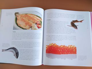 Libro sobre cocina y gastronomía