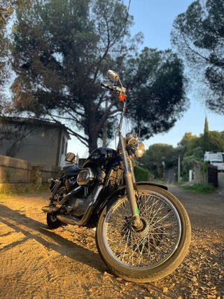 Harley Davidson sporters 883