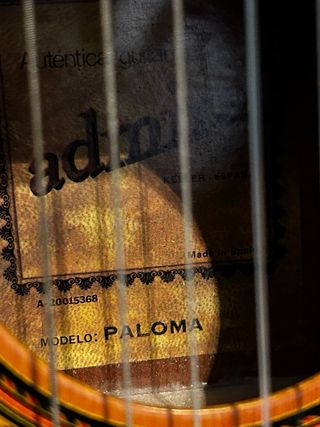 Guitarra admira modelo paloma