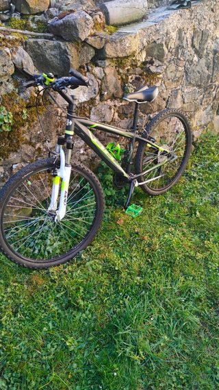 bici BH 24"