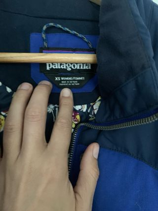 Plumifero patagonia