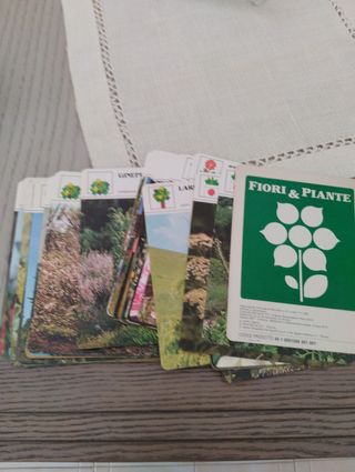 Piante e fiori,schede. Hobby