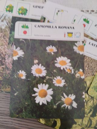 Piante e fiori,schede. Hobby