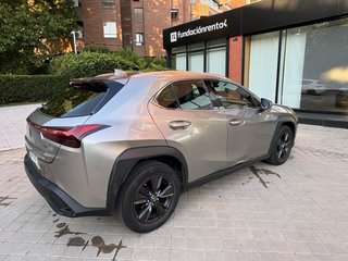 Lexus UX 250h 184 CV (2023)