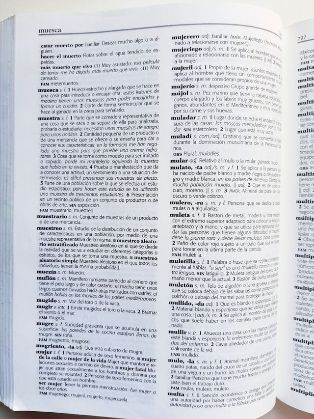 Diccionario básico Anaya (lengua castellana)