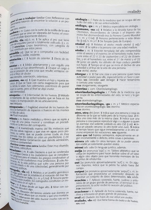 Diccionario básico Anaya (lengua castellana)