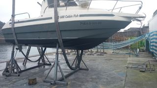 Barco Río cabin fish 600