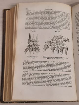 TRATADO DE ANATOMÍA DESCRIPTIVA. TOMOS I Y III