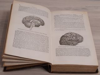 TRATADO DE ANATOMÍA DESCRIPTIVA. TOMOS I Y III
