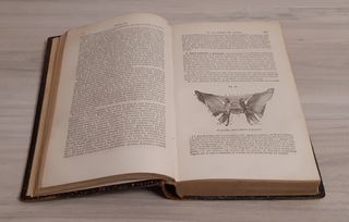 TRATADO DE ANATOMÍA DESCRIPTIVA. TOMOS I Y III