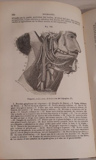 TRATADO DE ANATOMÍA DESCRIPTIVA. TOMOS I Y III