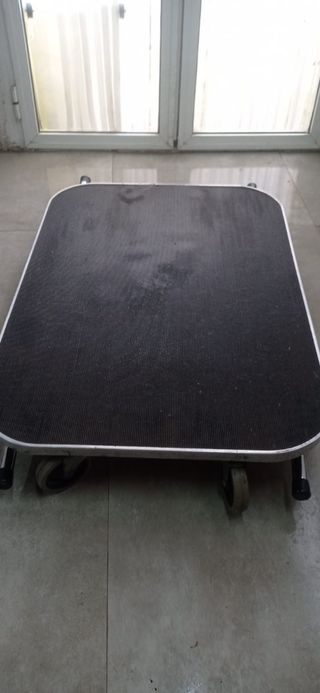 Mesa peluqueria canina